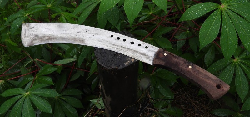 Cây mã tấu đẹp nhất