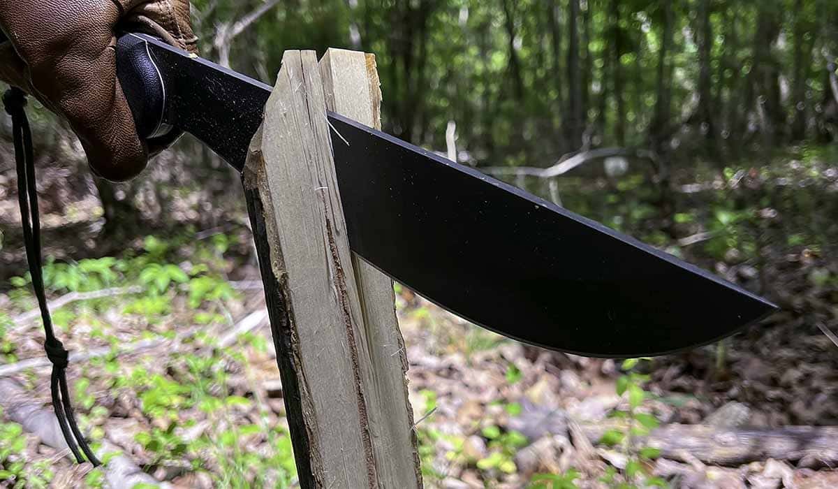 Công dụng mã tấu Công dụng mã tấu