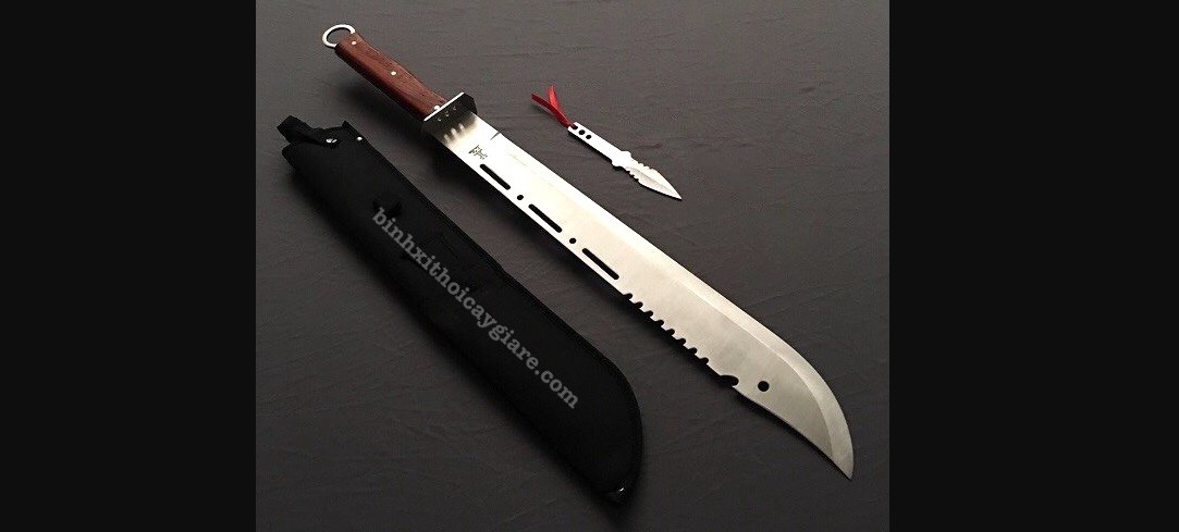 Đao cá mập là gì? Khám phá chi tiết từ thiết kế đến công năng