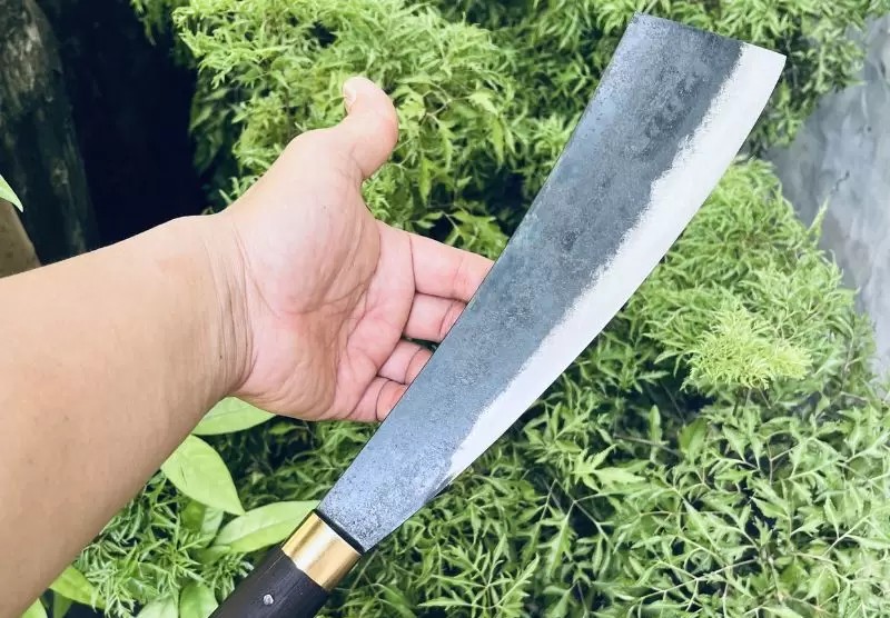 Dao phát quang là gì?